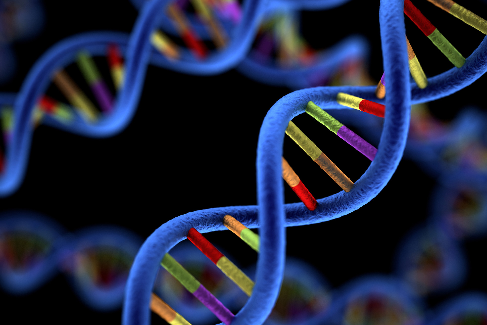 Version of Gene Linked to Longer Life Also Linked to Better Cognition