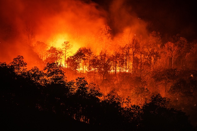 Is climate change harming the brain?